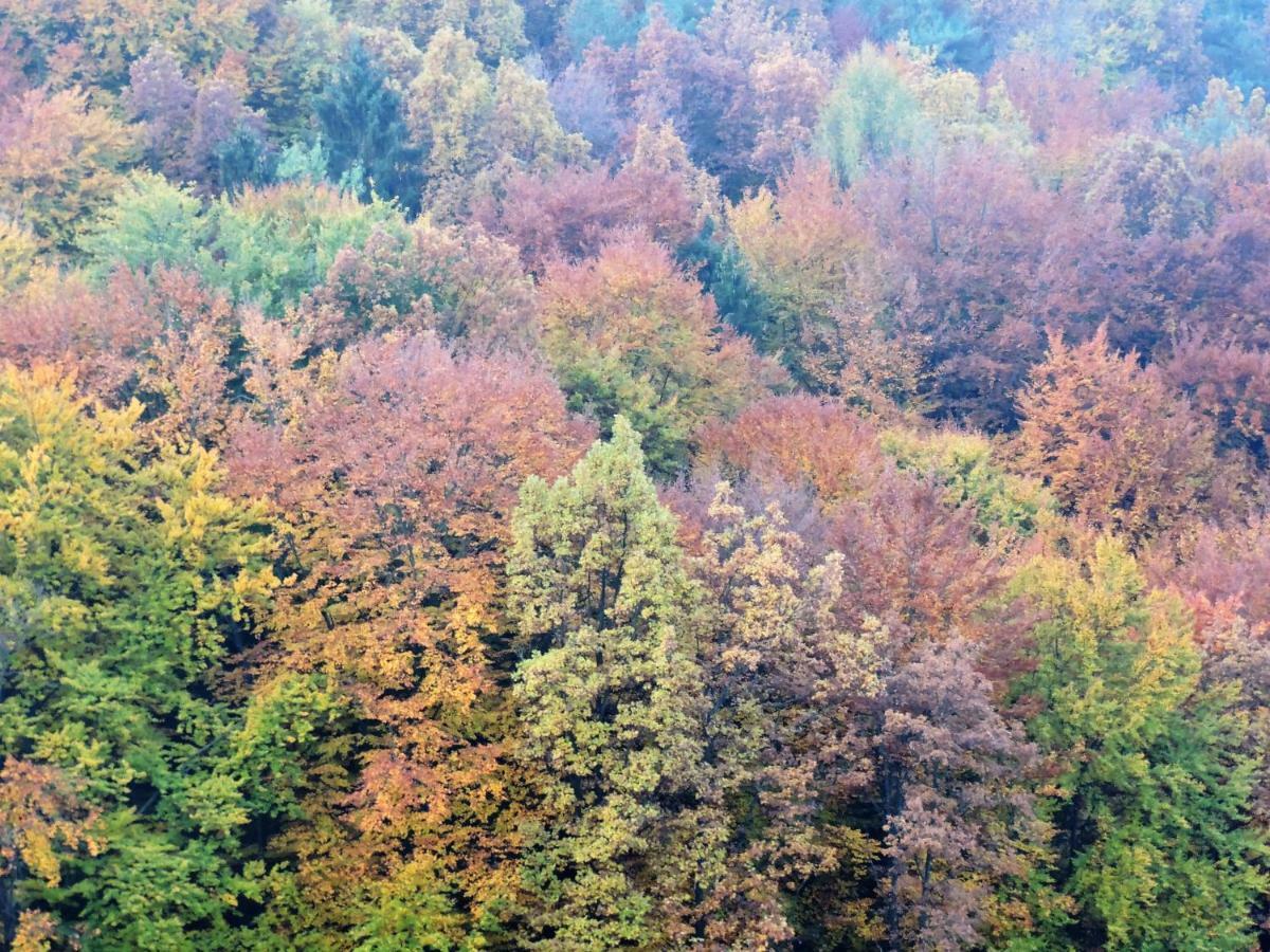 Gaestezimmer Klopfer Sankt Johann im Saggautal Екстер'єр фото